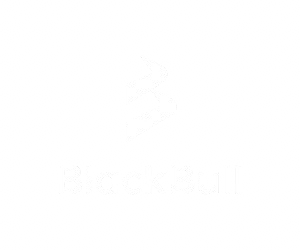 BlackBull Markets logo